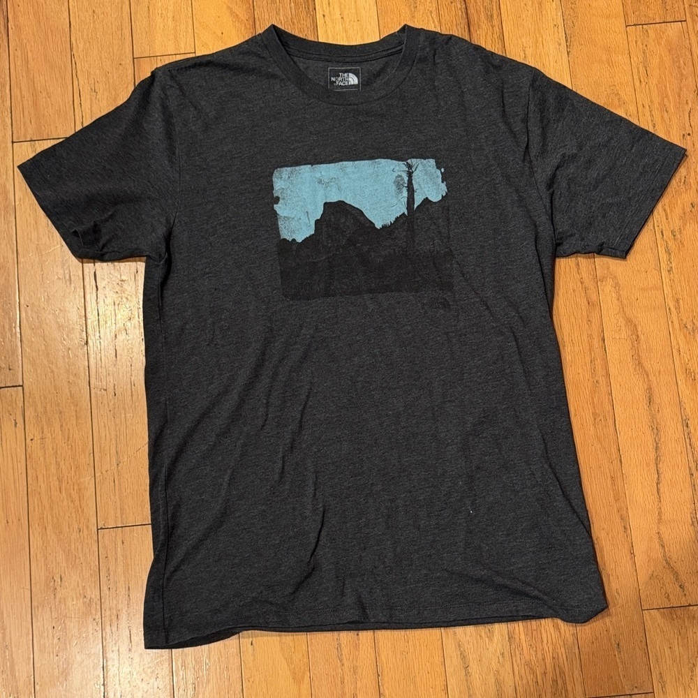 The North Face | Men's Dark Gray Graphic T-Shirt | size L